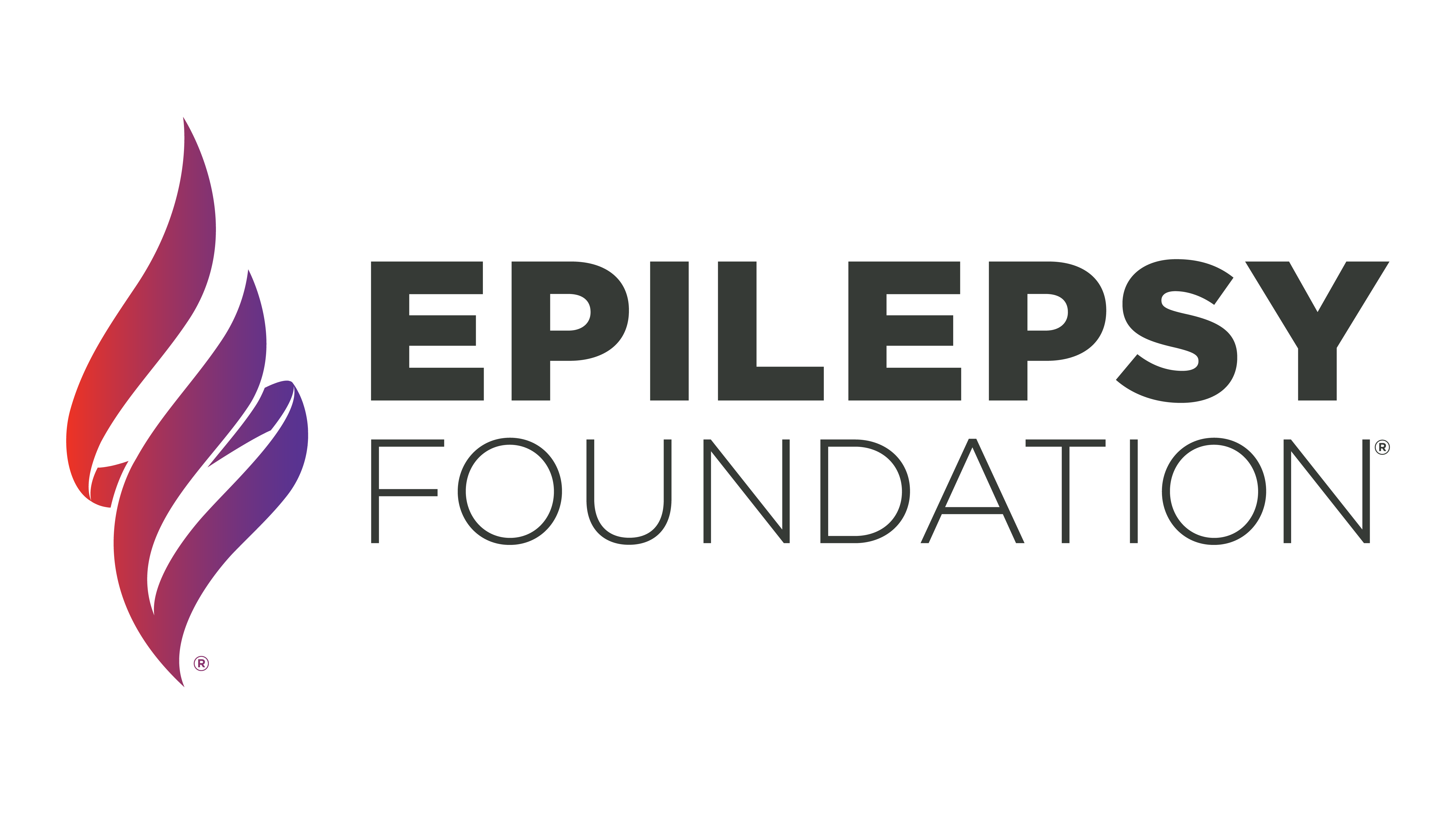 EFA logo
