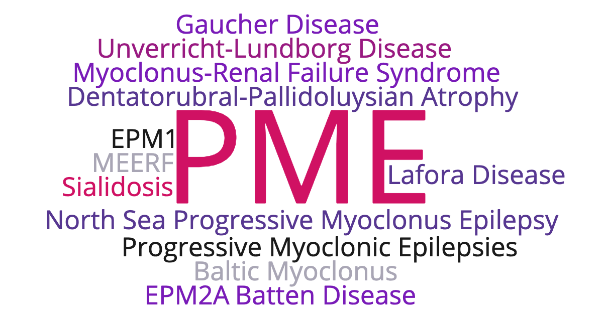 PME word cloud