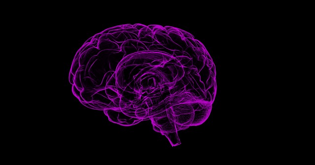 graphic of brain